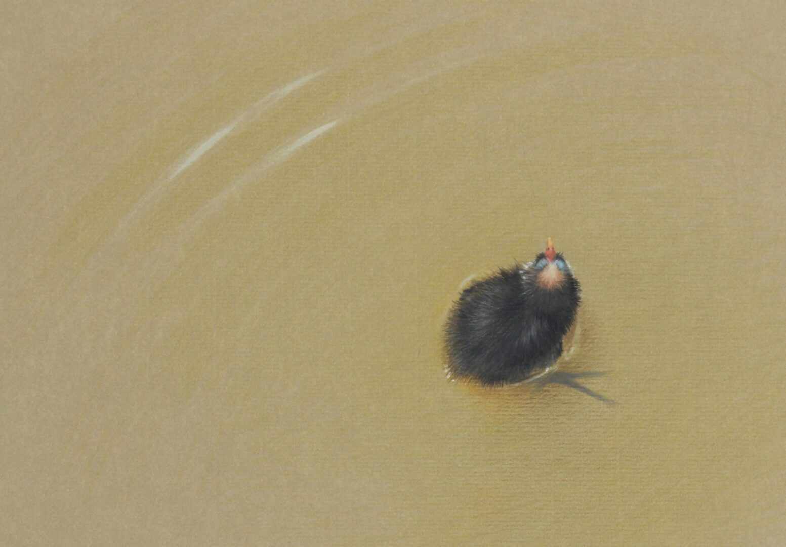 A drawing of a small bird in the water.
