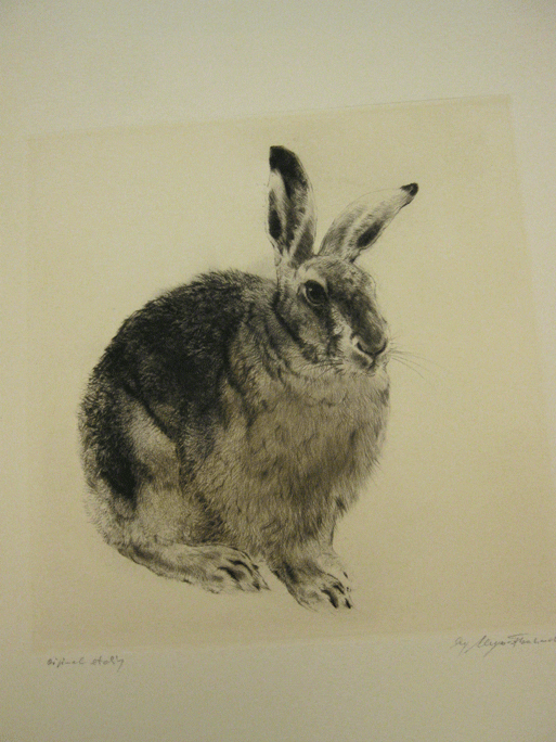 A black and white drawing of a rabbit.