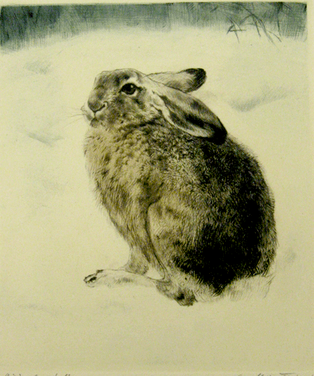 A drawing of a rabbit sitting in the snow.